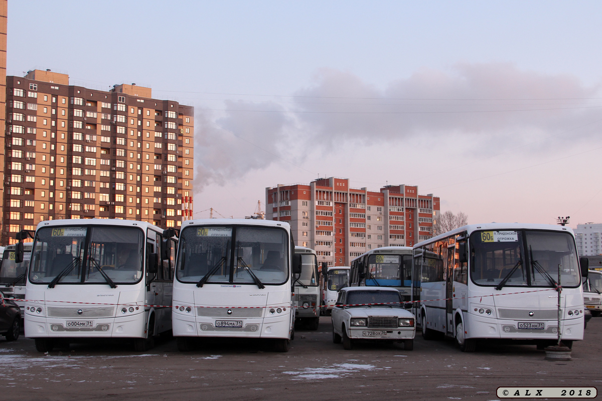 Воронежская область, ПАЗ-320412-04 "Вектор" № О 004 МК 31; Воронежская область, ПАЗ-320412-05 "Вектор" № О 894 МА 31