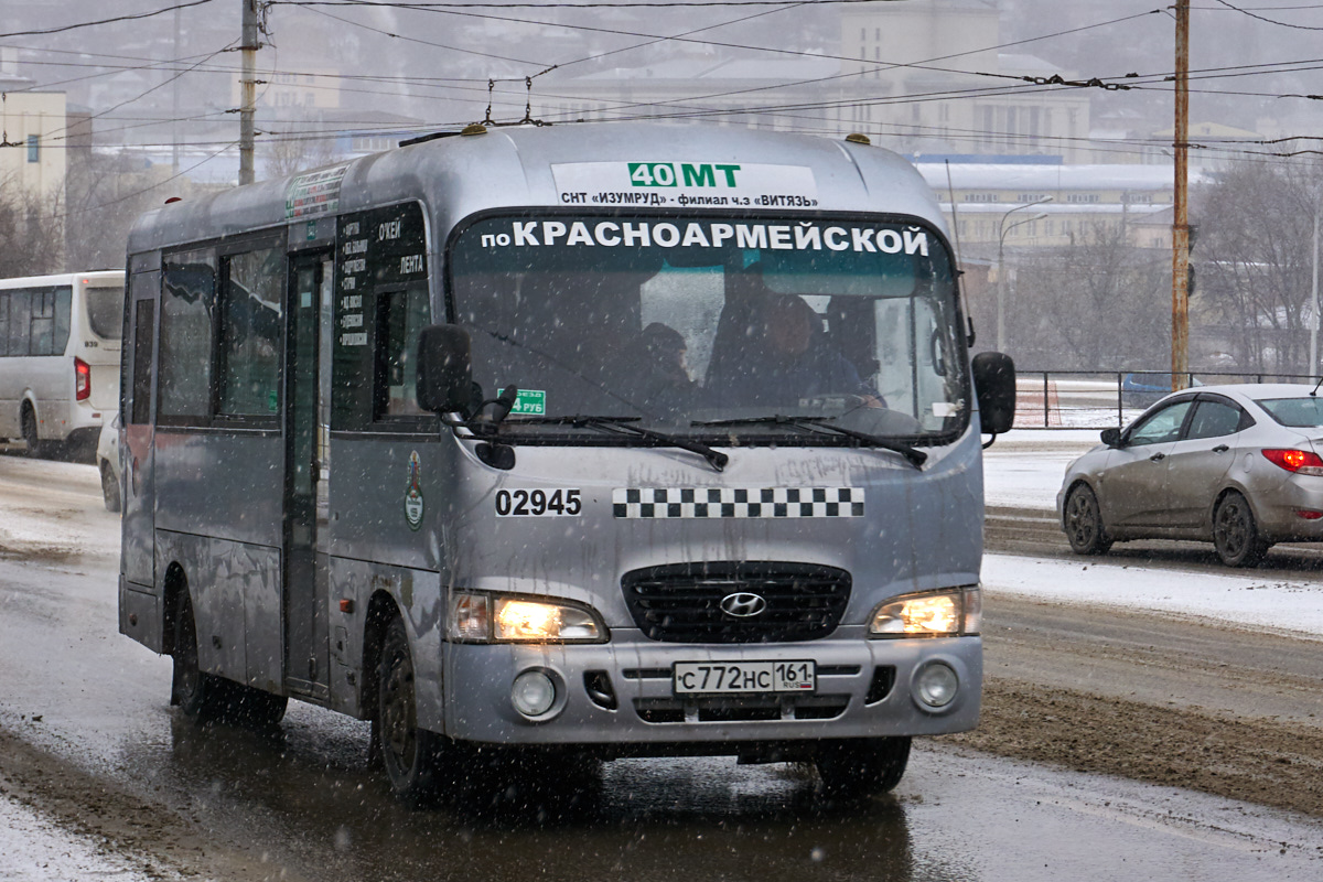 Ростовская область, Hyundai County LWB C09 (ТагАЗ) № 02945