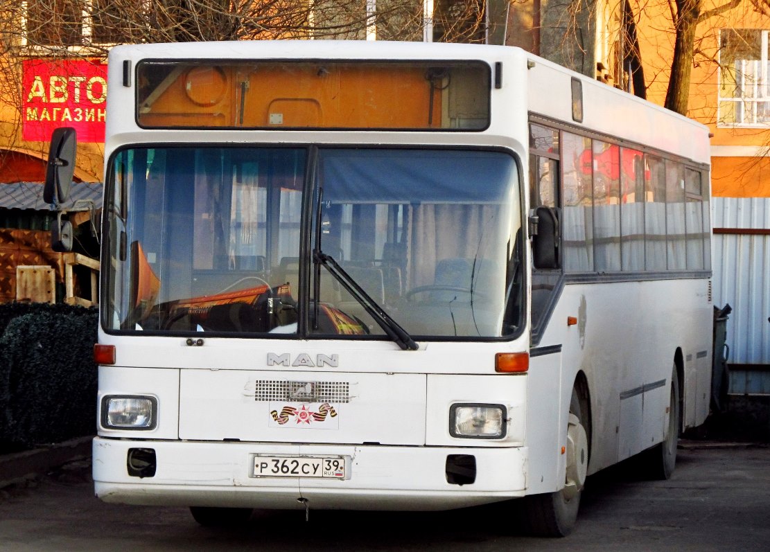 Kaliningrad region, MAN 791 SL202 Nr. Р 362 СУ 39