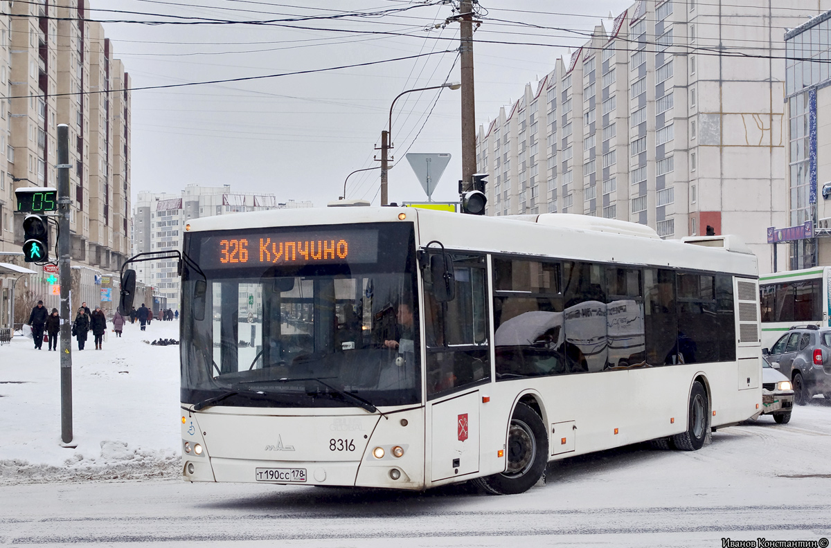 Санкт-Петербург, МАЗ-203.085 № 8316