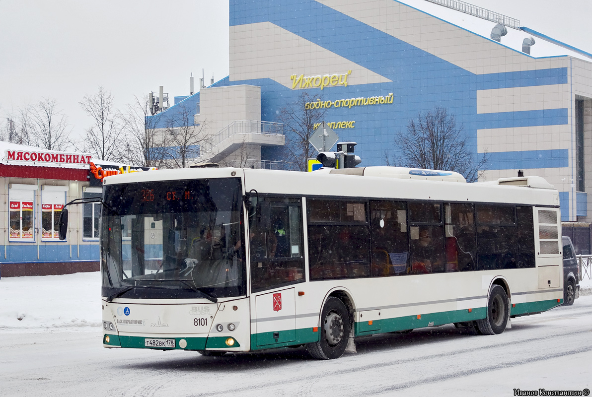 Санкт-Петербург, МАЗ-203.085 № 8101