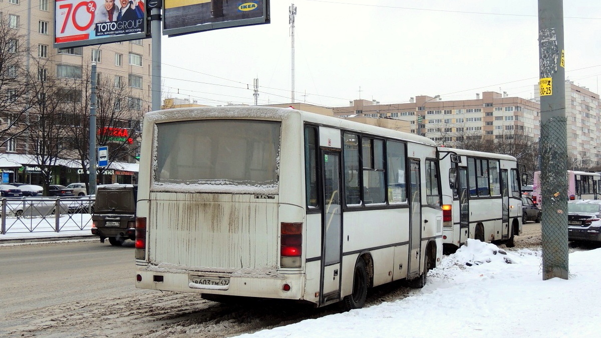 Санкт-Петербург, ПАЗ-320402-05 № 03108