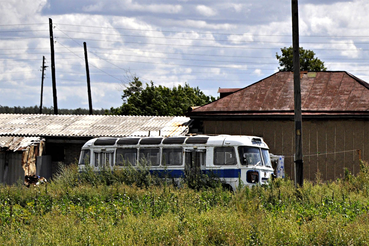 Алтайский край — Автобусы без номеров