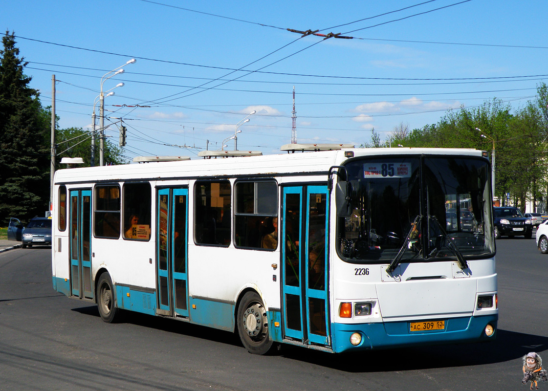 Нижегородская область, ЛиАЗ-5293.00 № 22236