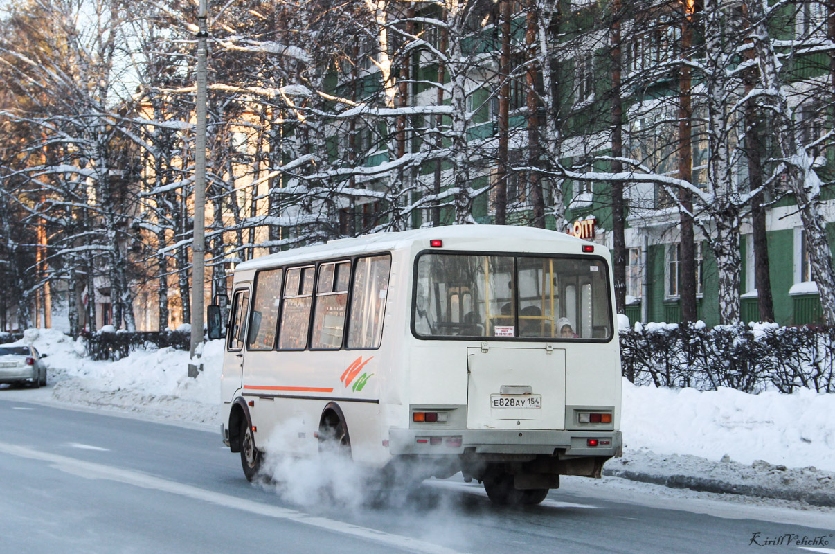 Новосибирская область, ПАЗ-32054 № Е 828 АУ 154