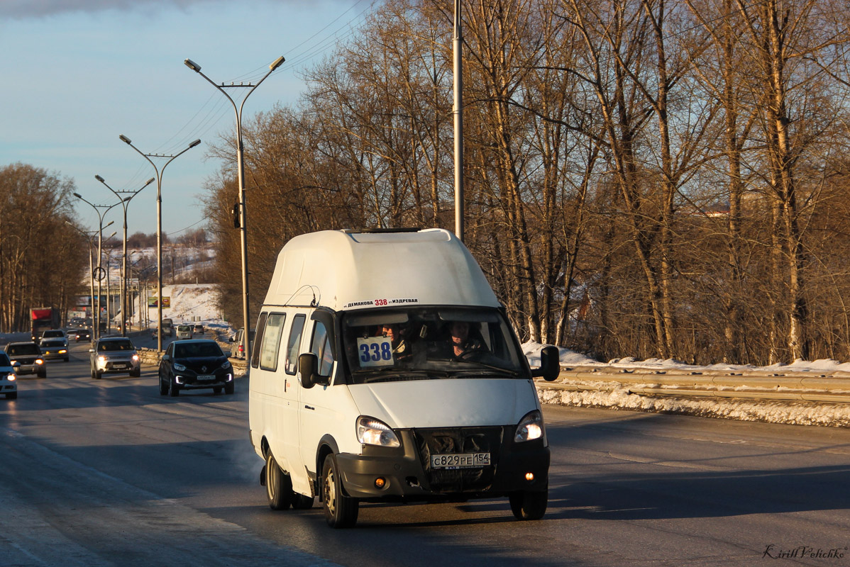 Новосибирская область, Луидор-225000 (ГАЗ-322133) № С 829 РЕ 154