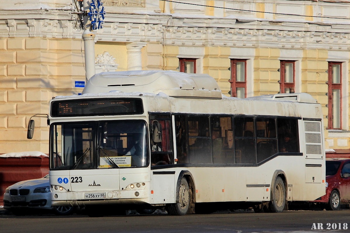 Тамбовская область, МАЗ-103.965 № 223