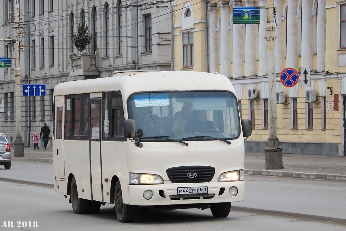 Тамбовская область, Hyundai County SWB C08 (РЗГА) № М 442 РН 161