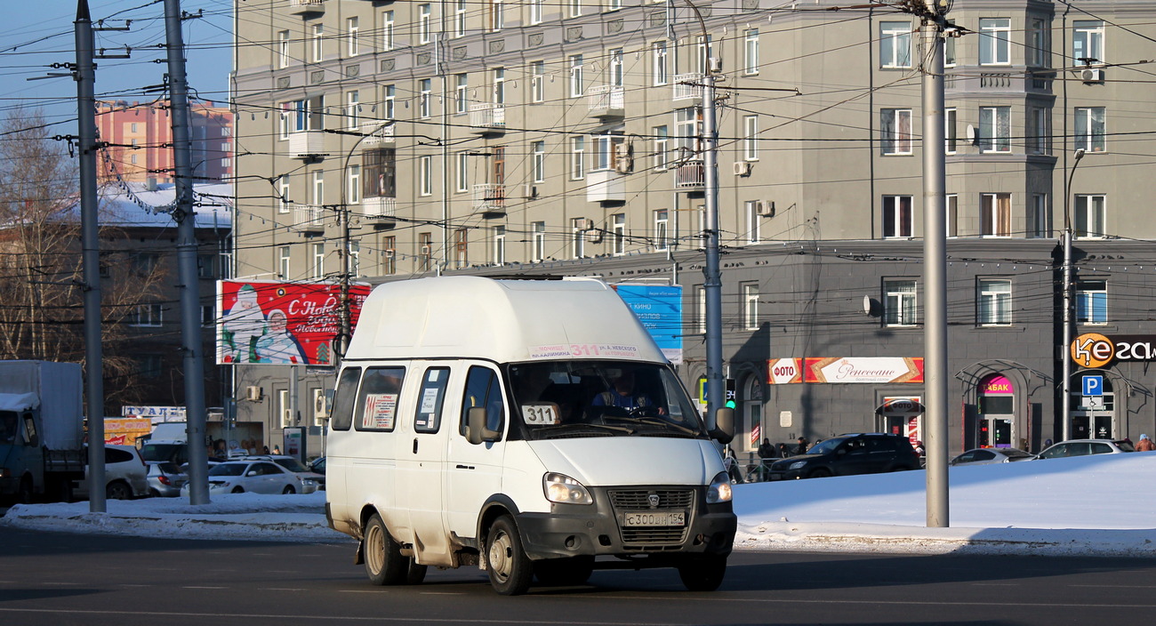 Новосибирская область, Луидор-225000 (ГАЗ-322133) № С 300 ВН 154