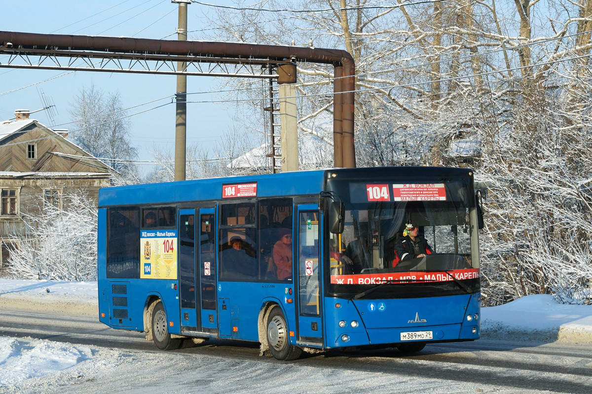 Архангельская область, МАЗ-206.085 № М 389 МО 29