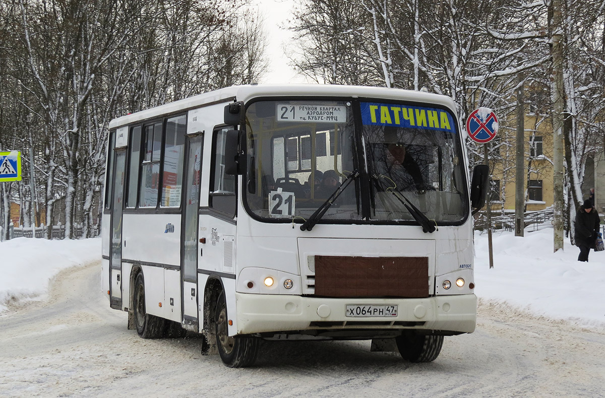 Ленинградская область, ПАЗ-320402-05 № Х 064 РН 47