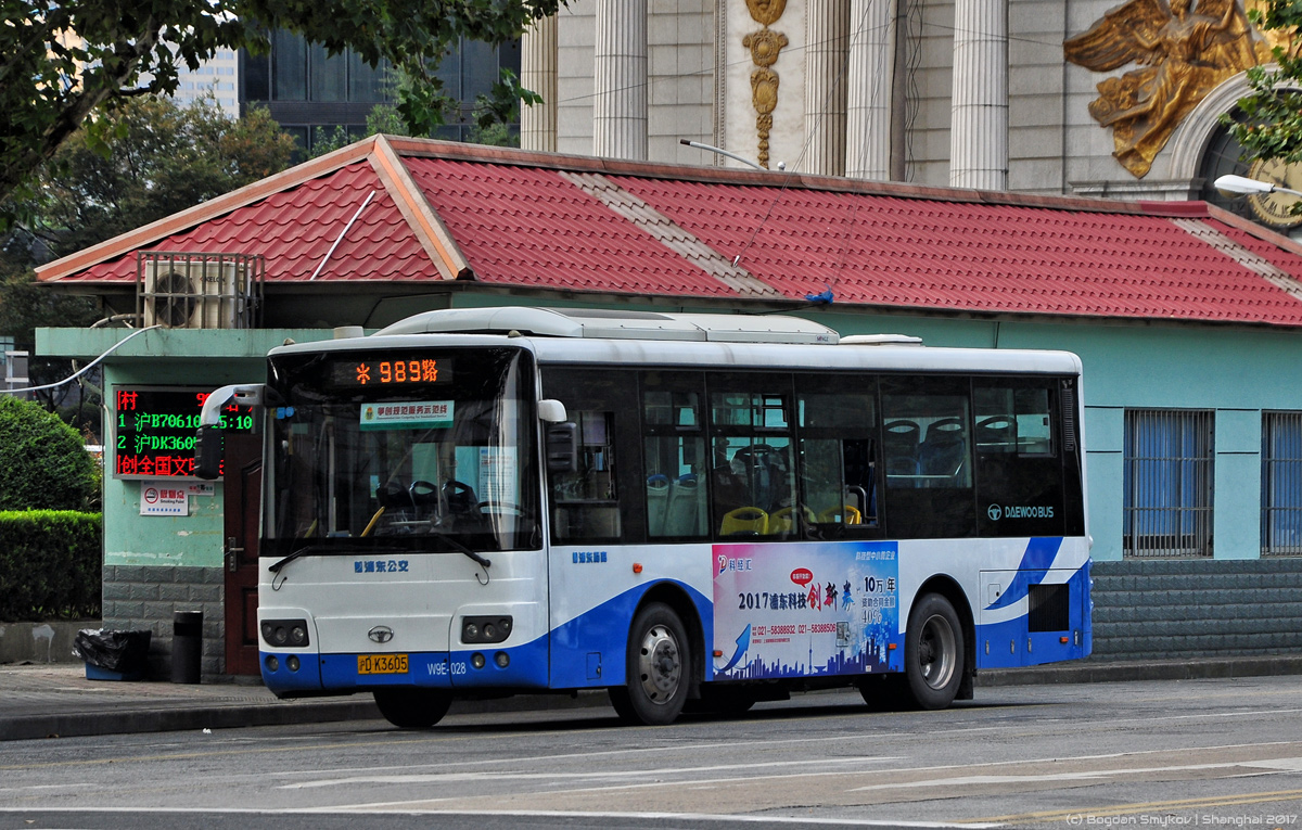 Китай, Wanxiang SXC6890G5 № W9E-028