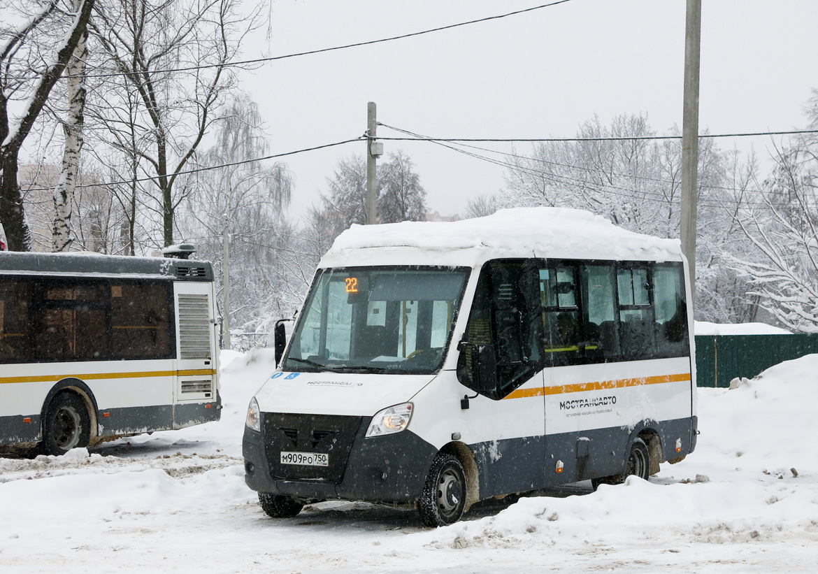 Московская область, Луидор-2250DS (ГАЗ Next) № 2097