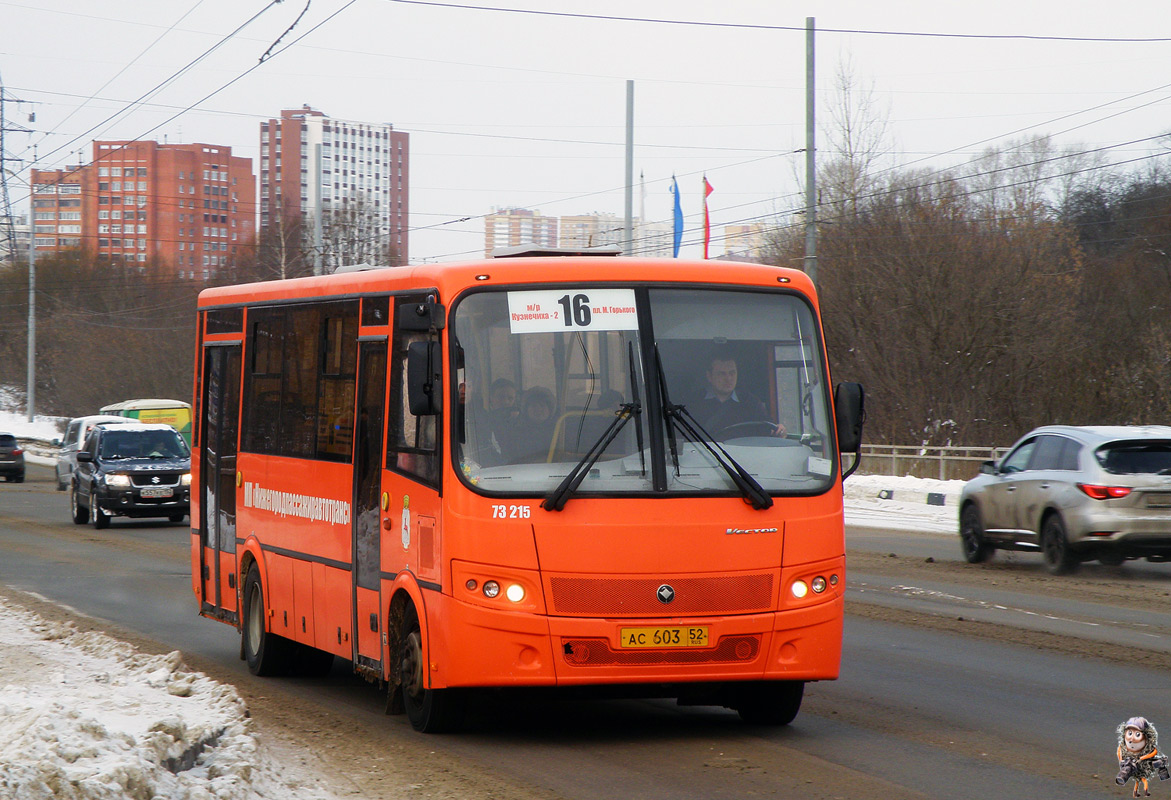 Нижегородская область, ПАЗ-320414-05 "Вектор" (1-2) № 73215