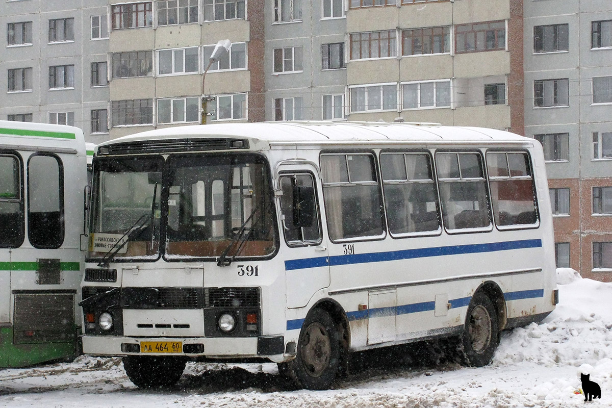 Псковская область, ПАЗ-3205-110 № 391