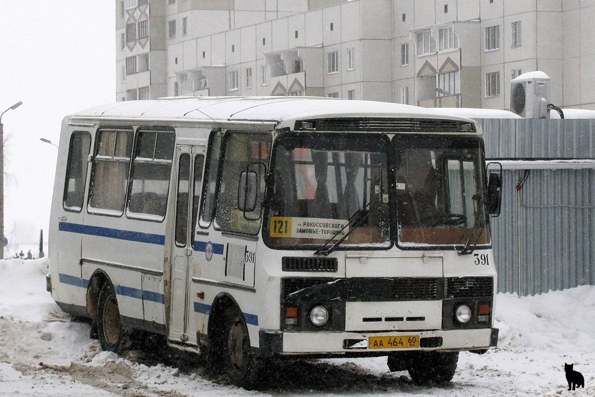 Псковская область, ПАЗ-3205-110 № 391