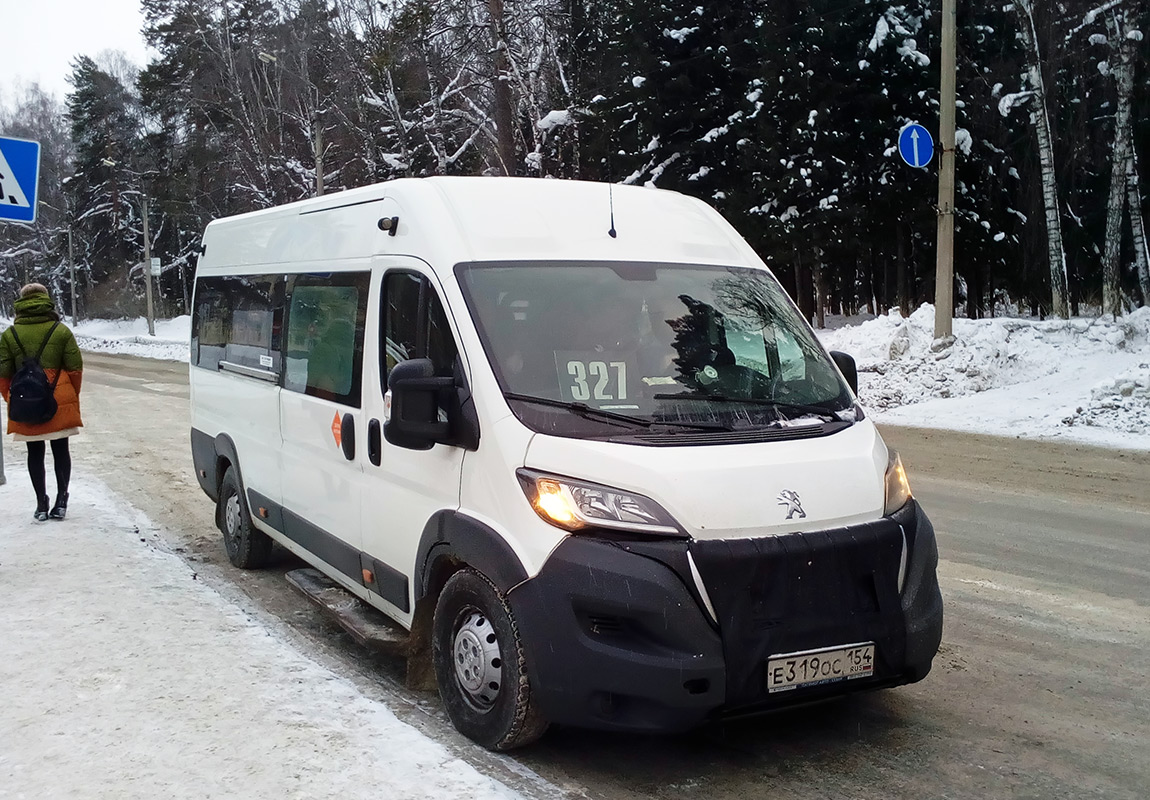 Новосибирская область, Автодом-22080* (Peugeot Boxer) № Е 319 ОС 154