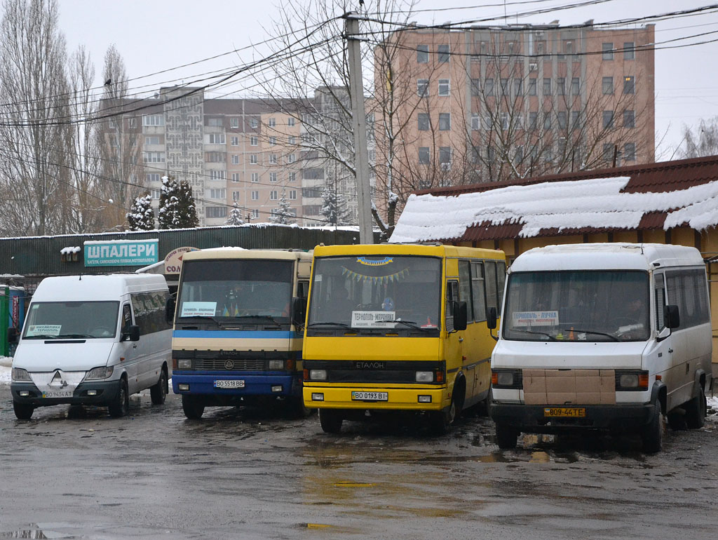 Тернопольская область, Mercedes-Benz T2 609D № 009-44 ТЕ; Тернопольская область — Разные фотографии