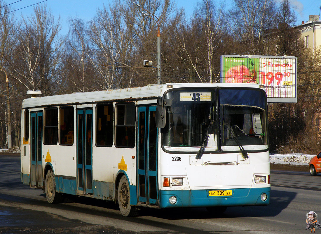 Нижегородская область, ЛиАЗ-5293.00 № 22236