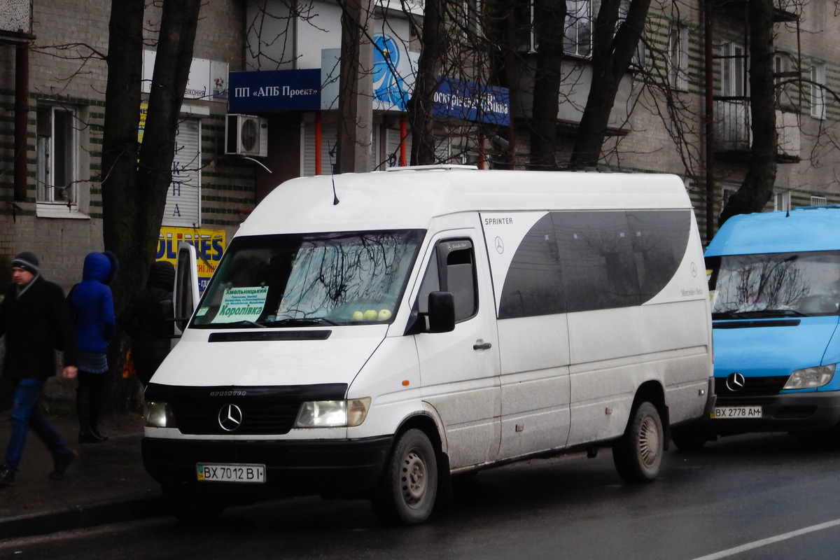 Хмельницкая область, Mercedes-Benz Sprinter W903 312D № BX 7012 BI