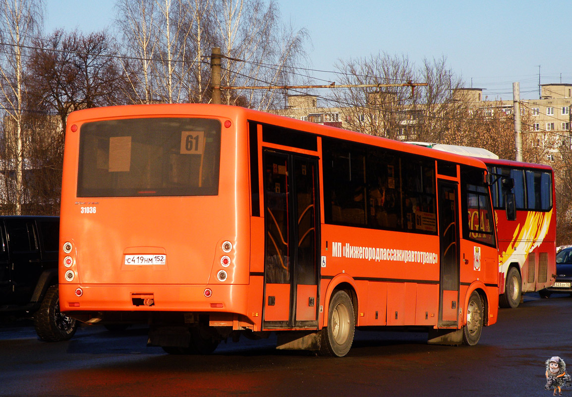 Нижегородская область, ПАЗ-320414-04 "Вектор" № 31036