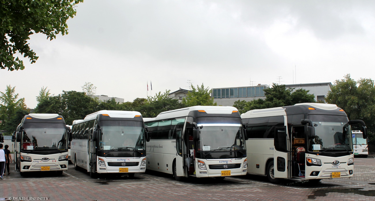 Южная Корея, Kia KM959H Granbird Sunshine № 경북 75 바 5227; Южная Корея, Hyundai Universe (все) № 경북 75 바 5222; Южная Корея, Hyundai Universe (все) № 경북 75 바 5223; Южная Корея, Kia KM959H Granbird Sunshine № 경북 75 바 5208; Южная Корея — Разные фотографии