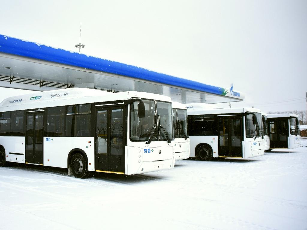 Wologda Region — New buses