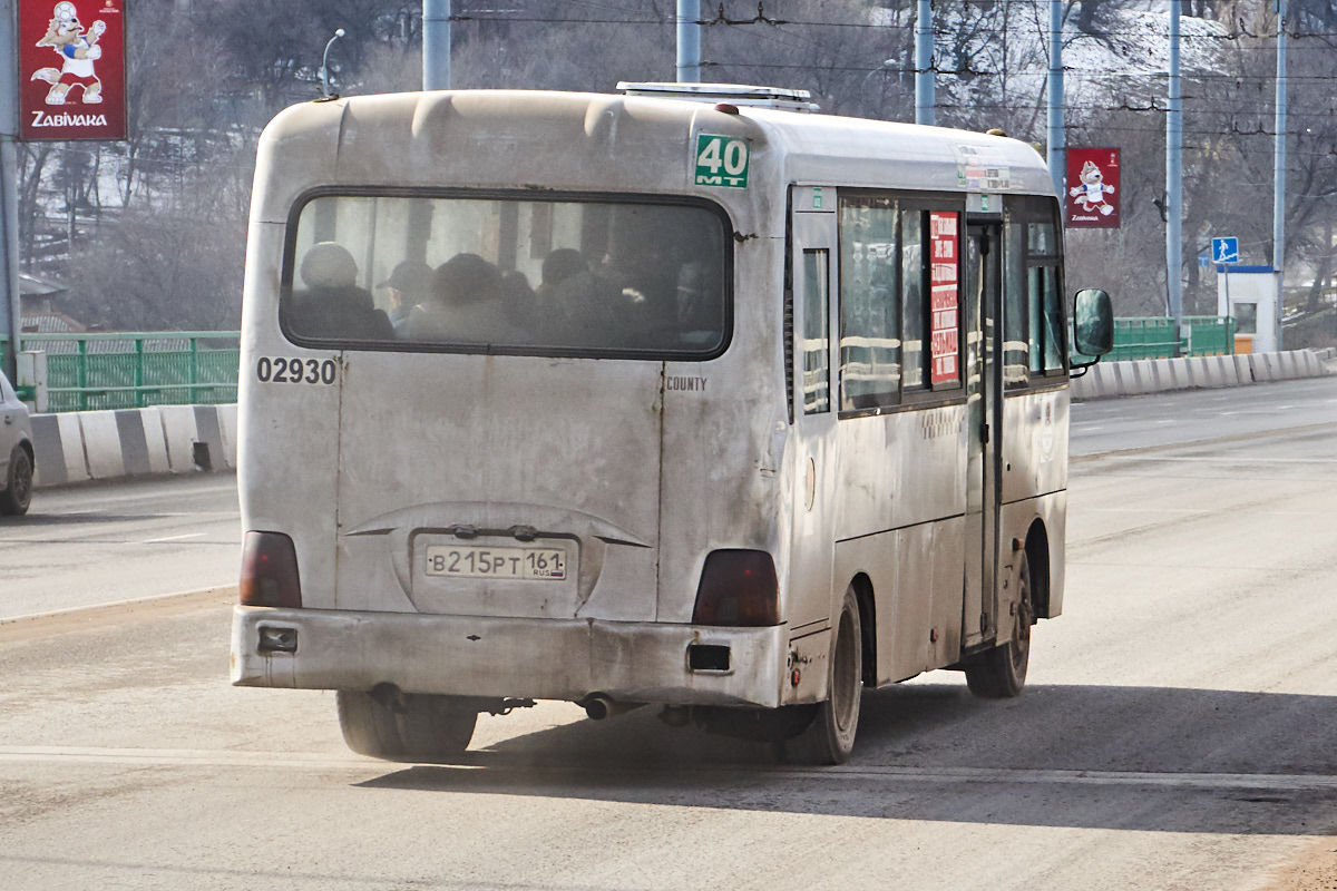 Ростовская область, Hyundai County LWB C09 (ТагАЗ) № 02930