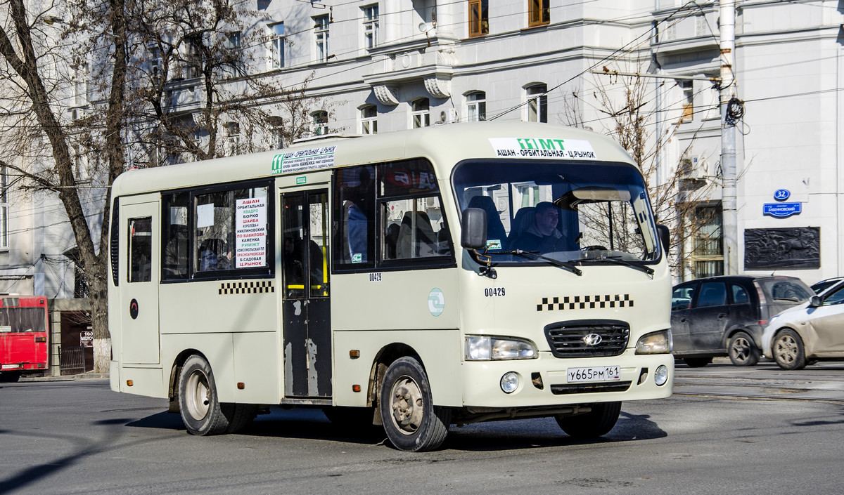 Ростовская область, Hyundai County SWB C08 (РЗГА) № 00429