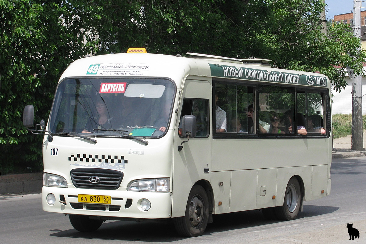 Ростовская область, Hyundai County SWB C08 (РЗГА) № 107