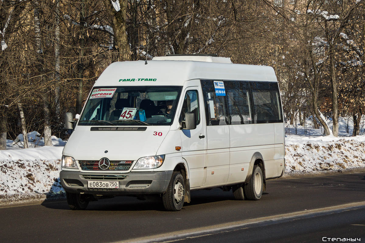 Московская область, Луидор-223237 (MB Sprinter Classic) № 30