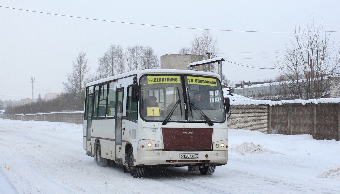 Ленинградская область, ПАЗ-320402-05 № О 128 АК 47