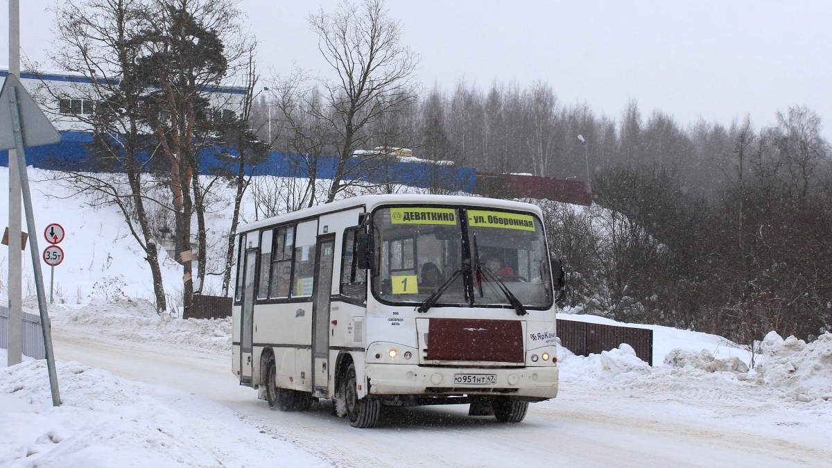 Ленинградская область, ПАЗ-320402-05 № О 951 НТ 47