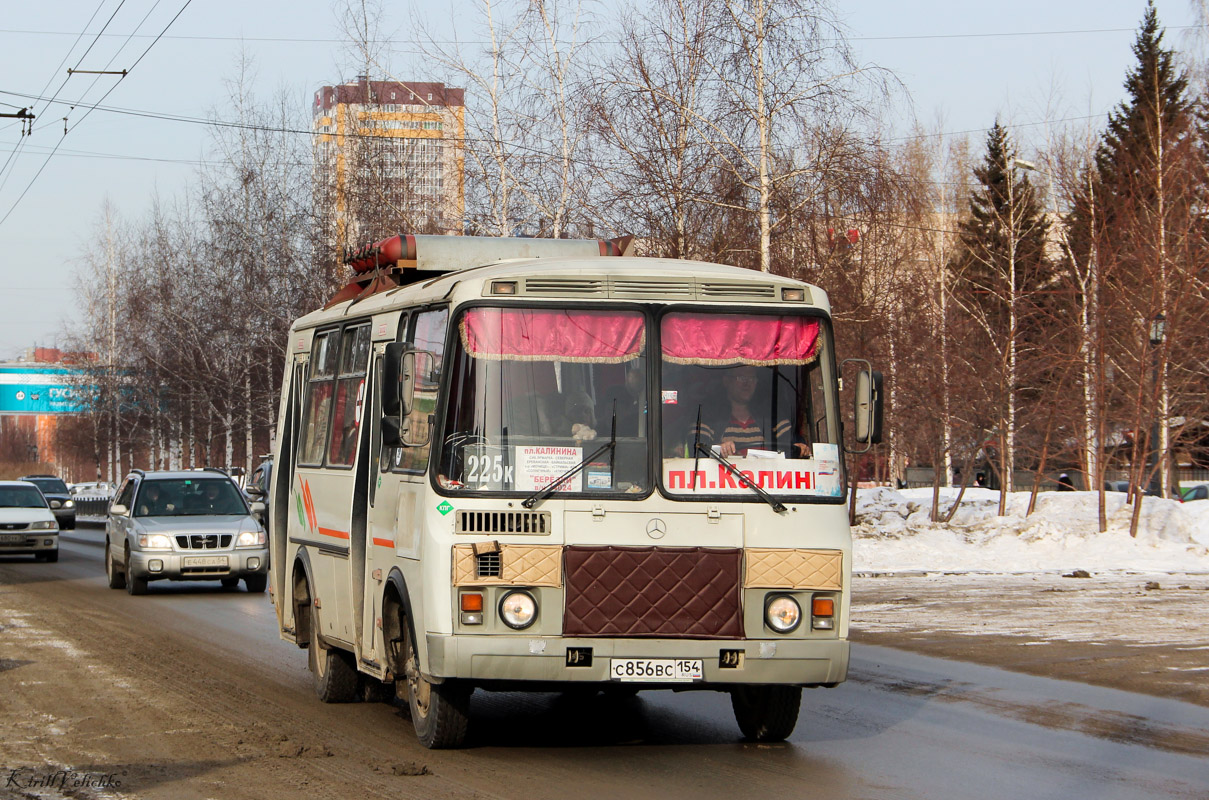 Новосибирская область, ПАЗ-32054 № 02