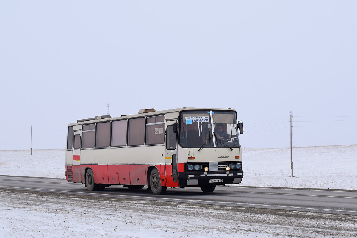 Алтайский край, Ikarus 250.95 № Х 221 ТТ 22