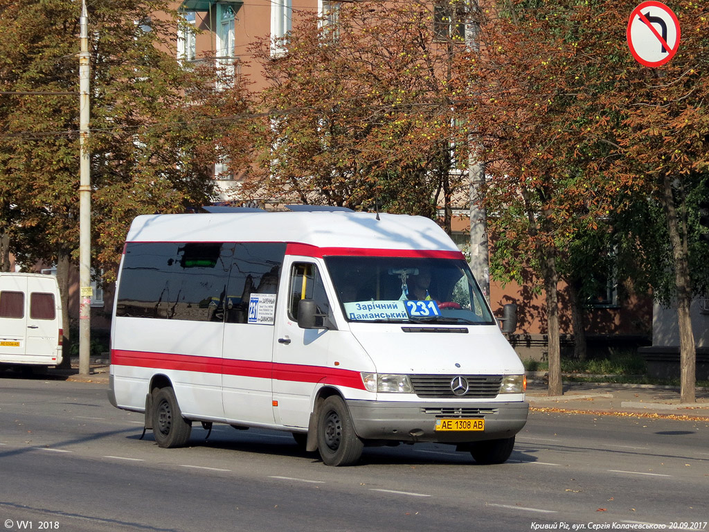 Днепропетровская область, Mercedes-Benz Sprinter W903 312D № AE 1308 AB