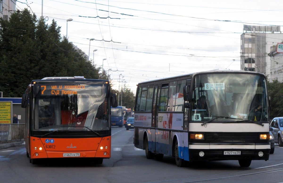 Калининградская область, МАЗ-203.085 № 63072; Калининградская область, Setra S215UL № Р 927 ТЕ 39