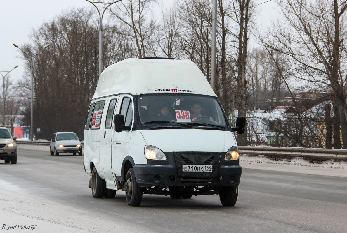 Новосибирская область, Луидор-225000 (ГАЗ-322133) № Е 710 НК 154