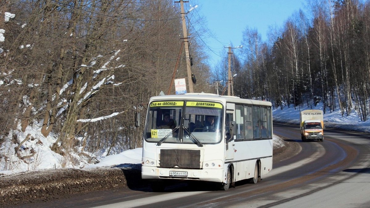 Ленинградская область, ПАЗ-320402-05 № В 954 УТ 47