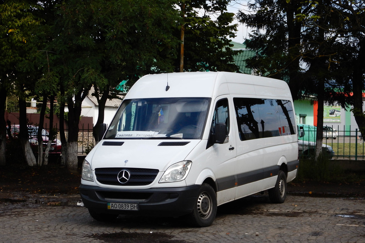 Закарпатская область, Mercedes-Benz Sprinter W906 313CDI № AO 0839 BH