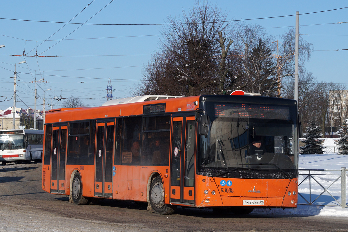 Калининградская область, МАЗ-203.085 № 63088