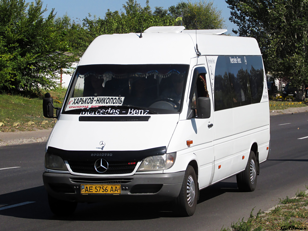 Днепропетровская область, Mercedes-Benz Sprinter W903 313CDI № AE 5756 AA