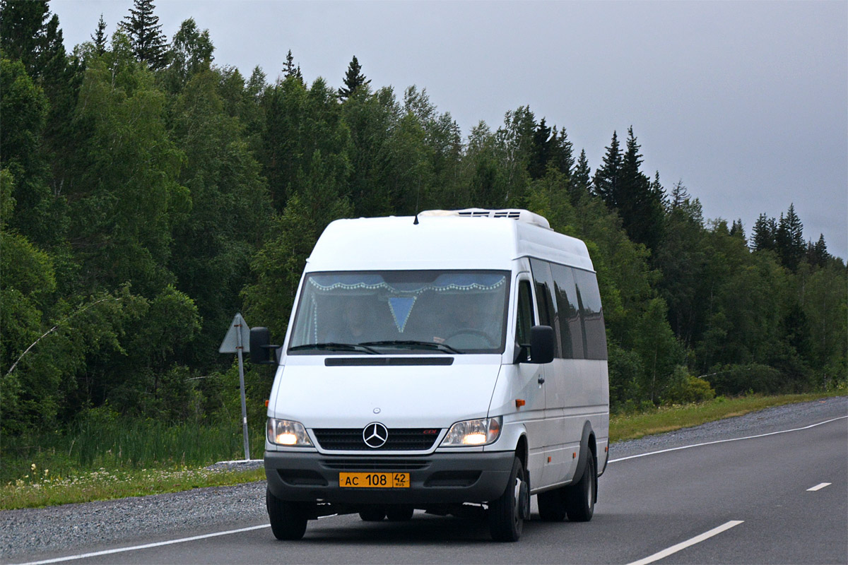 Кемеровская область - Кузбасс, Луидор-223205 (MB Sprinter Classic) № 260