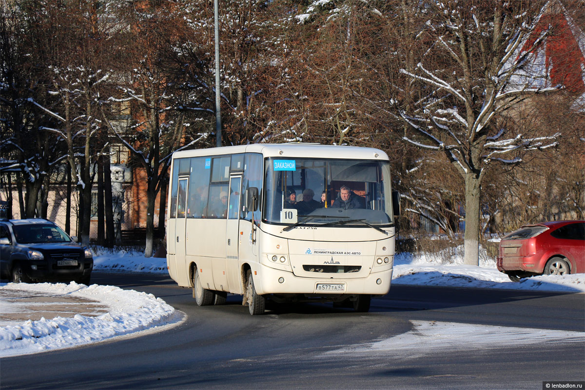 Ленинградская область, МАЗ-256.270 № В 577 ТА 47 — Фото — Автобусный  транспорт