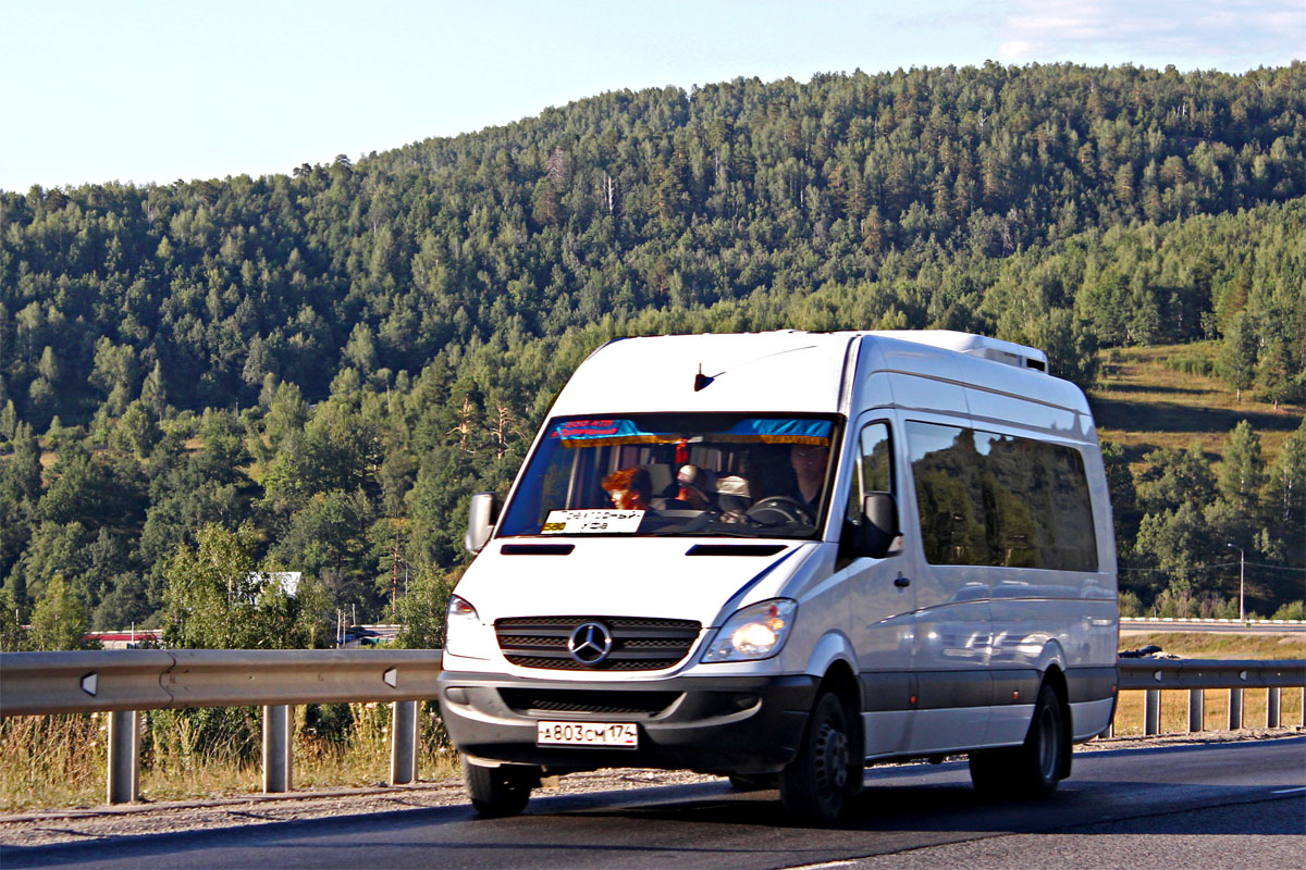 Челябинская область, Луидор-223602 (MB Sprinter) № А 803 СМ 174