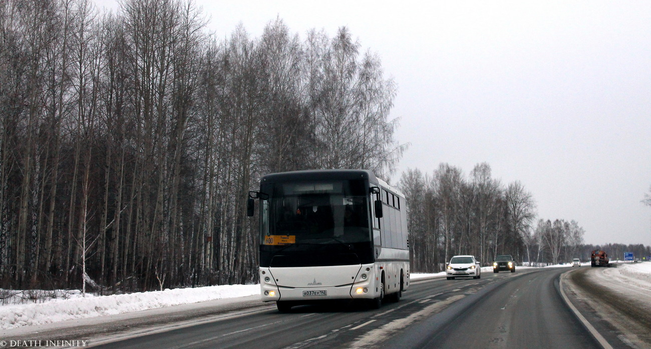 Кемеровская область - Кузбасс, МАЗ-232.062 № А 037 ЕУ 142