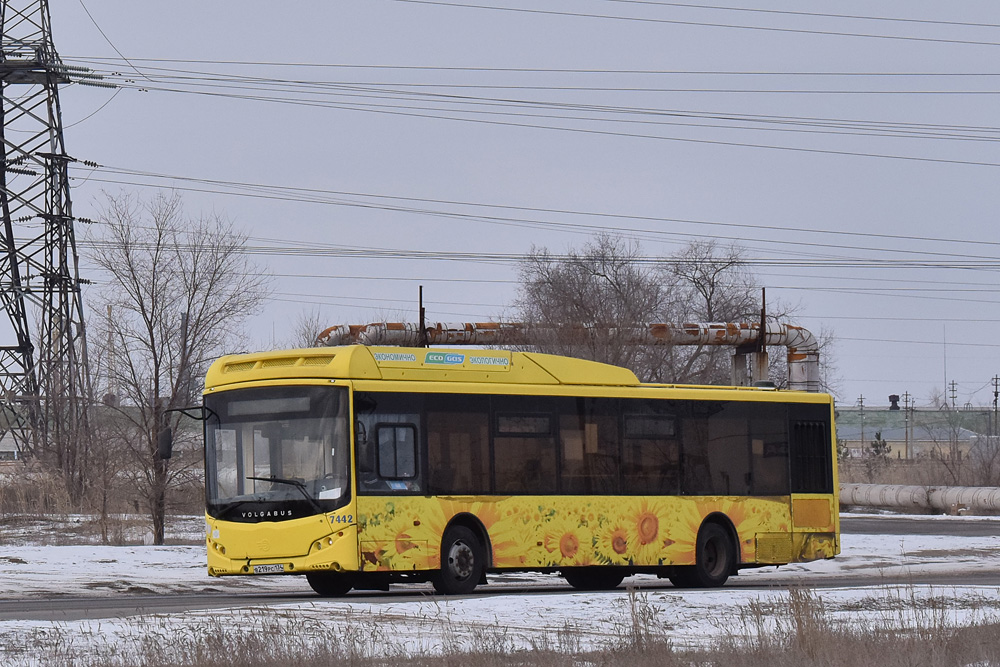 Volgograd region, Volgabus-5270.G2 (CNG) # 7442