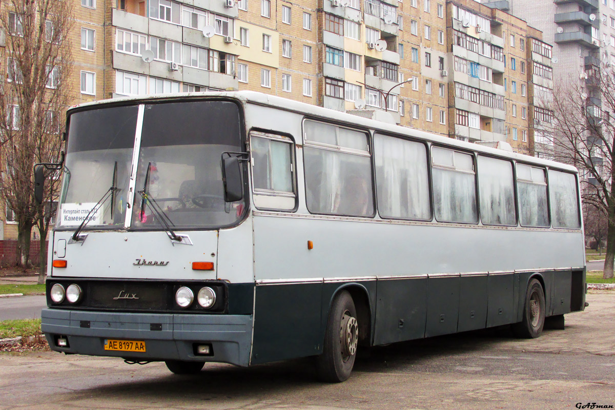 Dnepropetrovsk region, Ikarus 250.59 # AE 8197 AA