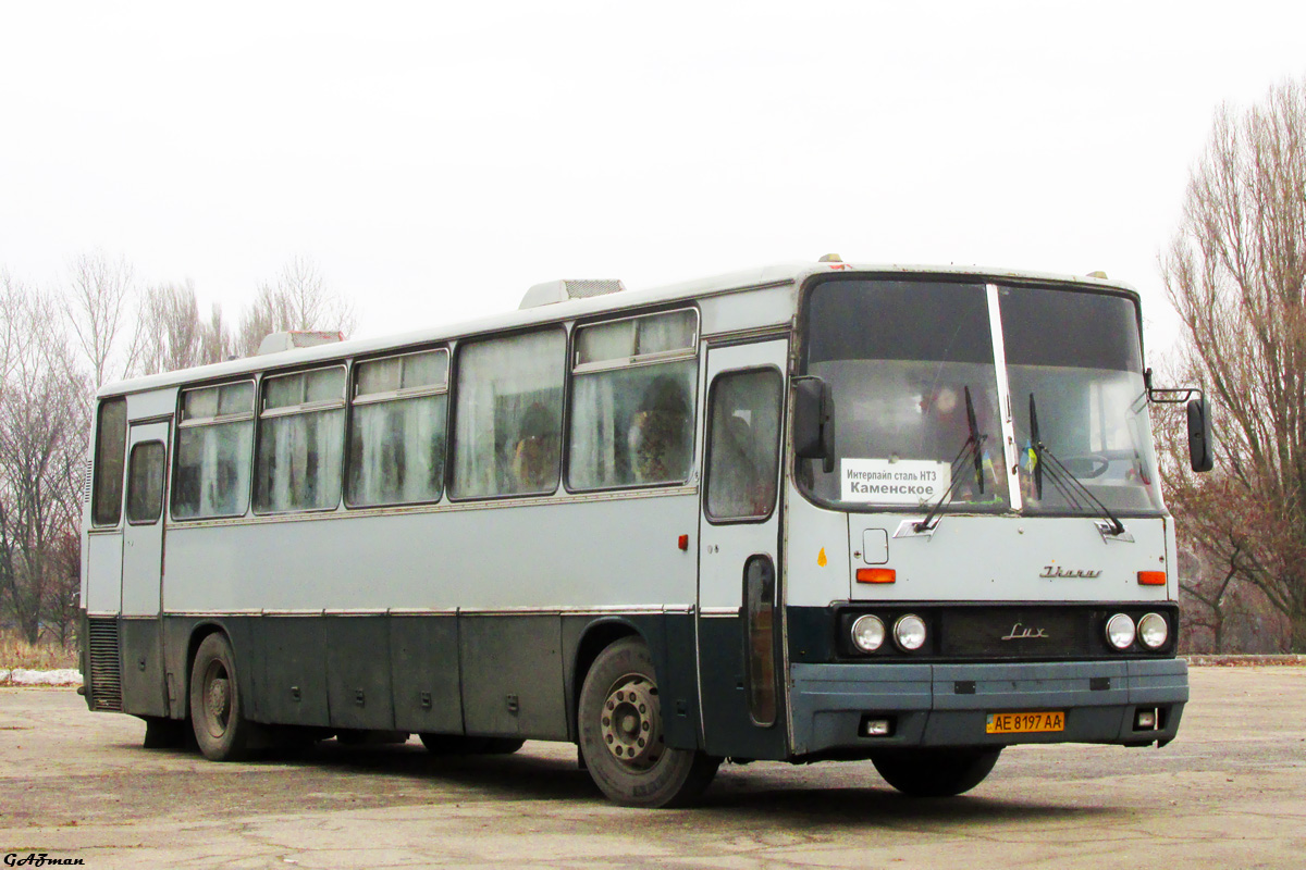 Днепропетровская область, Ikarus 250.59 № AE 8197 AA