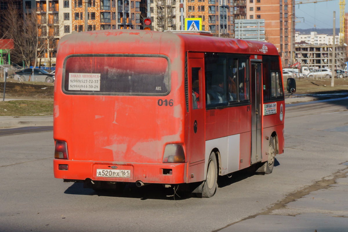 Ростовская область, Hyundai County LWB C09 (ТагАЗ) № 016